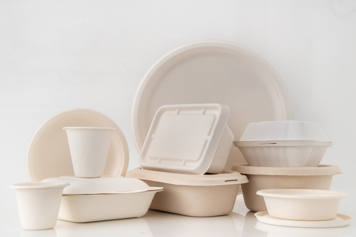 BAGASSE CLAMSHELL BOX Plastic Free Madras