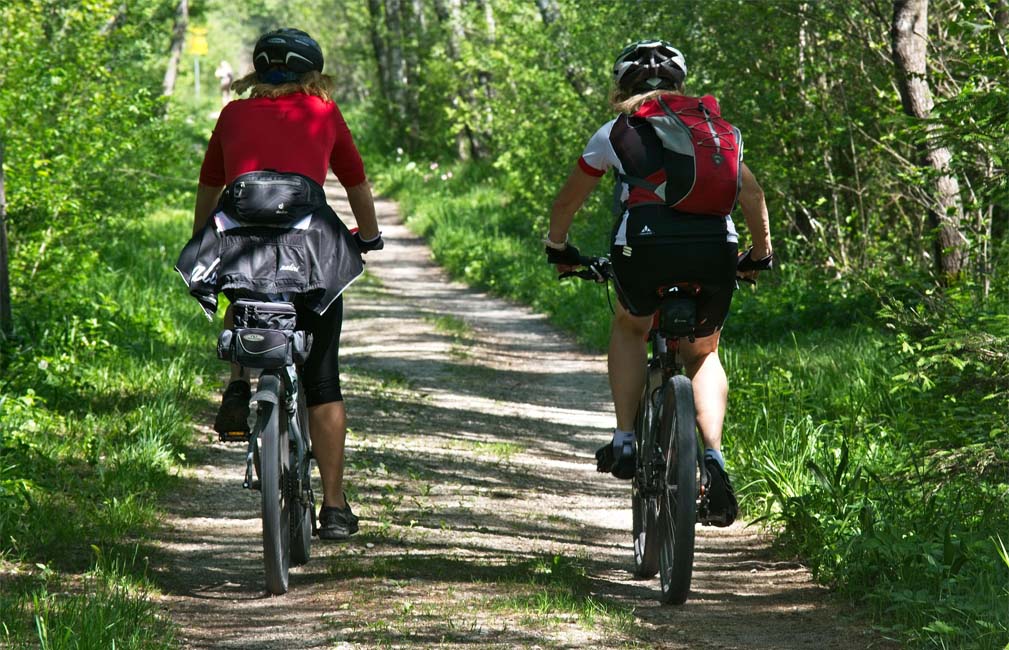 A couple of people riding bikes on a trail through the woods.