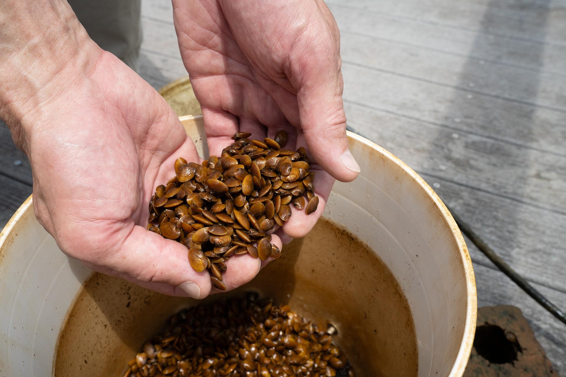 Alabama's Unexpected Battle: Saving Endangered Species in the Heart of the South (2026)