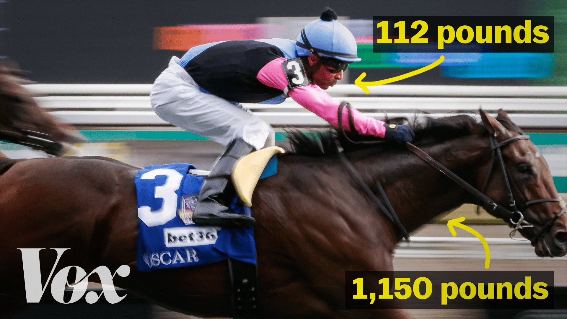 The two athletes in every horse race