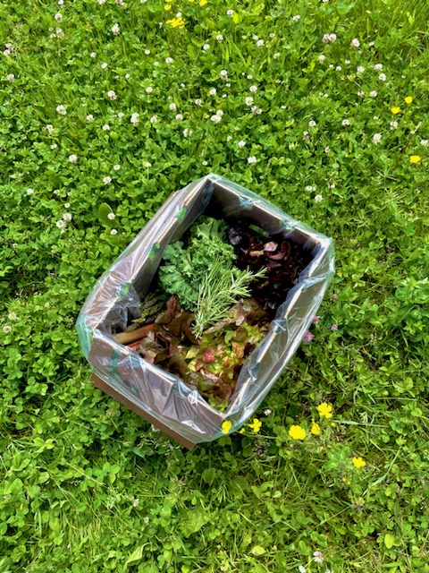 In Season Veg Box