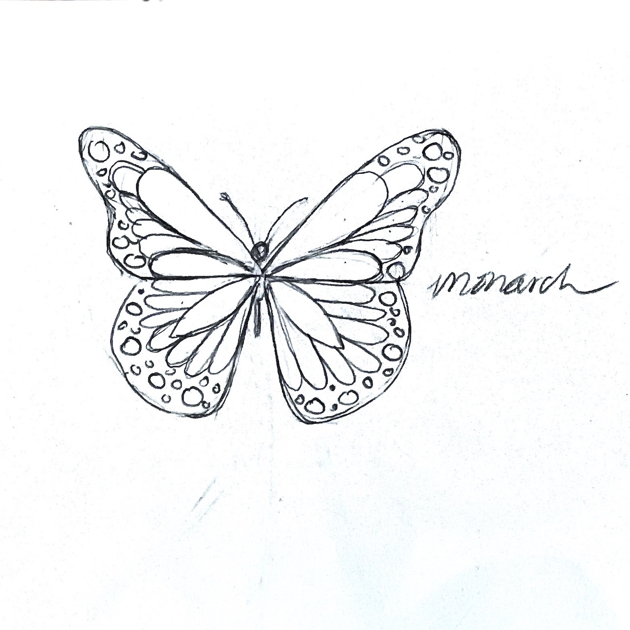 Sketchbook (Monarch)