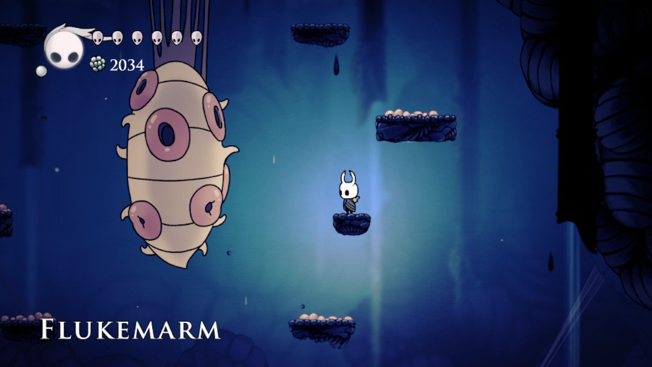 Hollow Knight: How To Beat Flukemarm