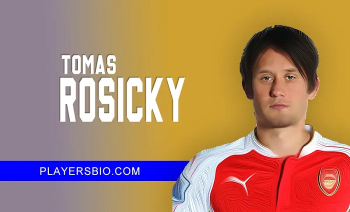 Rosicky net worth