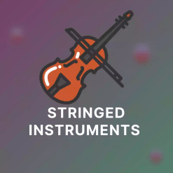Stringed Instruments