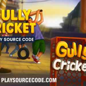 gully cricket game unity