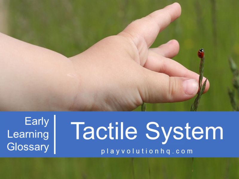 Understanding The Tactile System - Download Elegant Abstract Picture | Retina