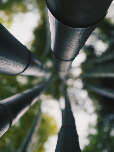 You are currently viewing The Versatility of Bamboo