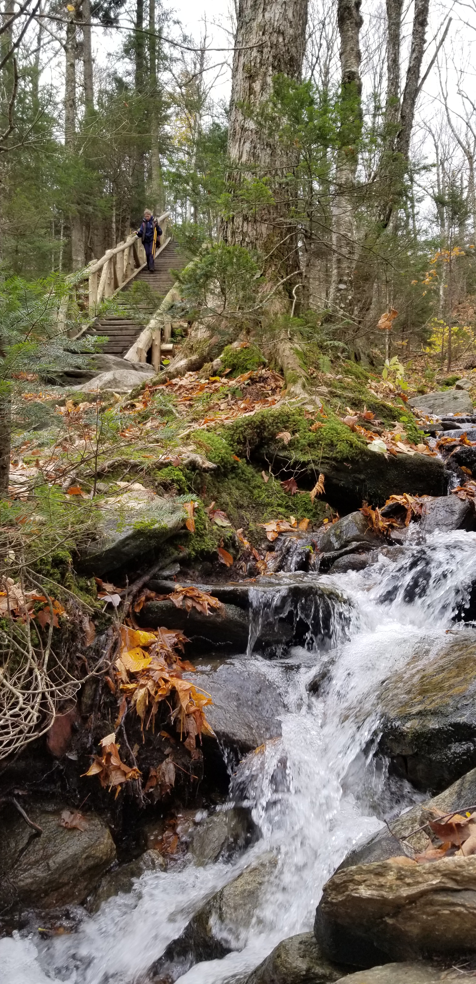 20181016_135513