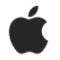 apple icon