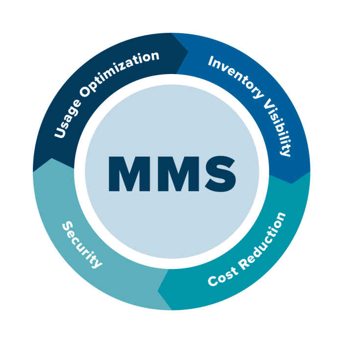 Managed Mobility Solutions For The Future Of Work