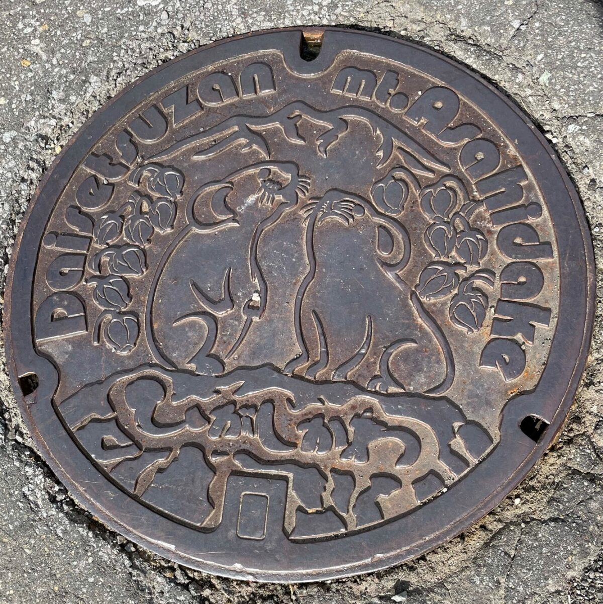 東川町　マンホール