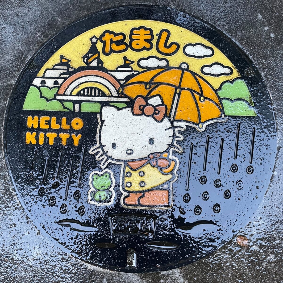 多摩市　マンホール