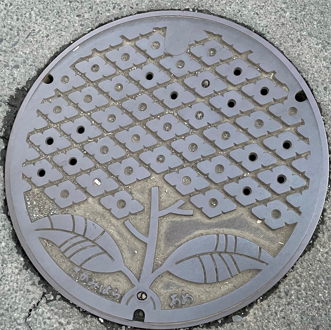 相模原市　マンホール
