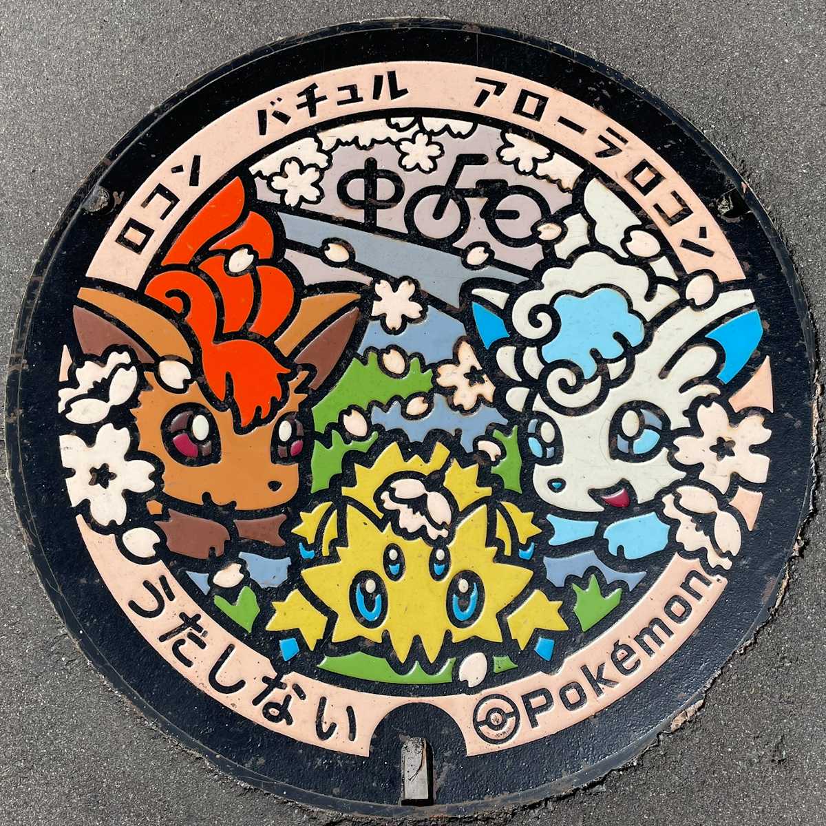 歌志内市　ポケふた