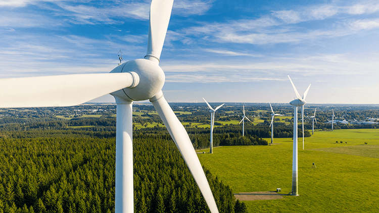 Design for Sustainability from MSC