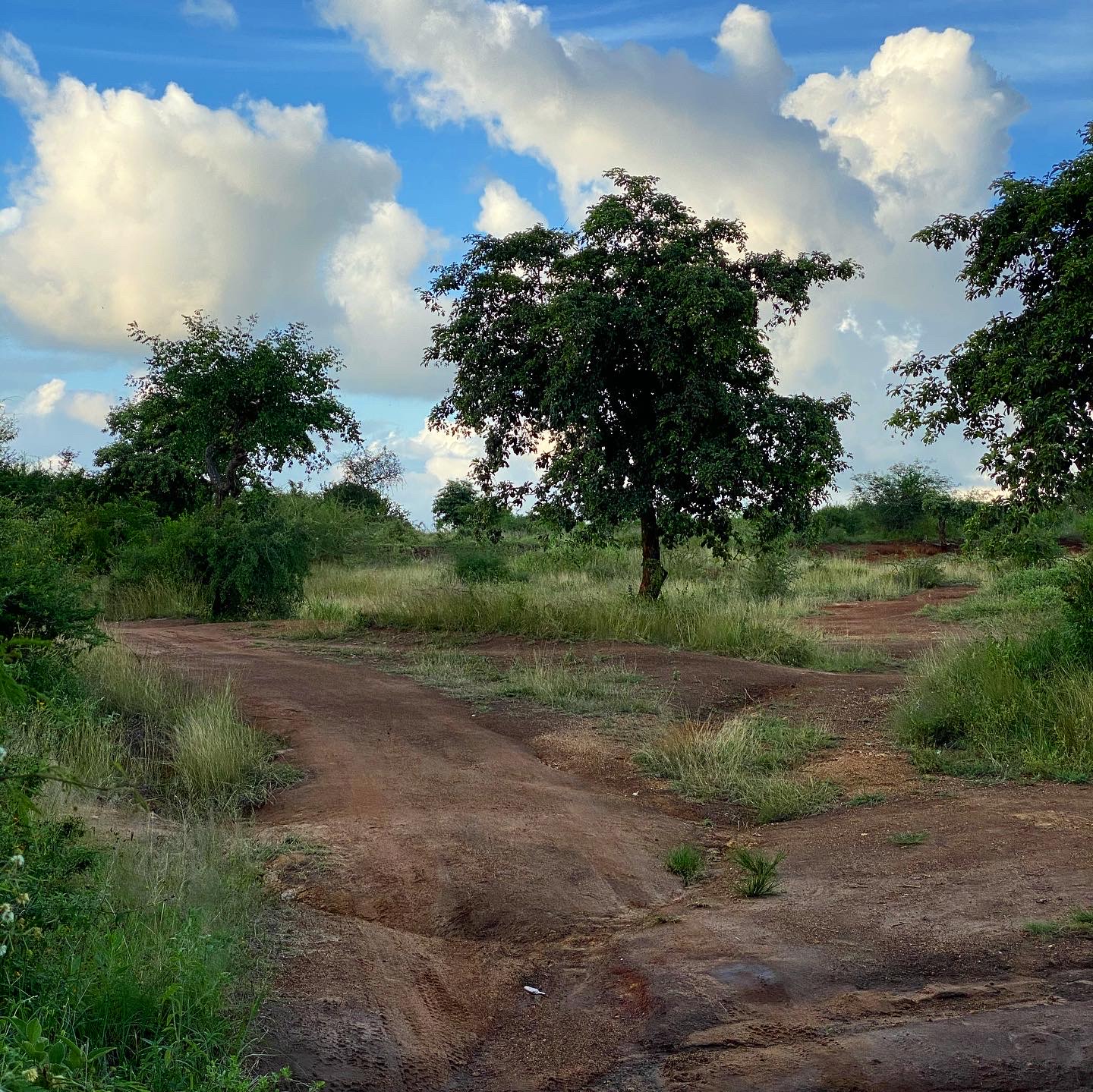 ABDF2C4A-E49C-4E6B-8BCE-52E654FD1485