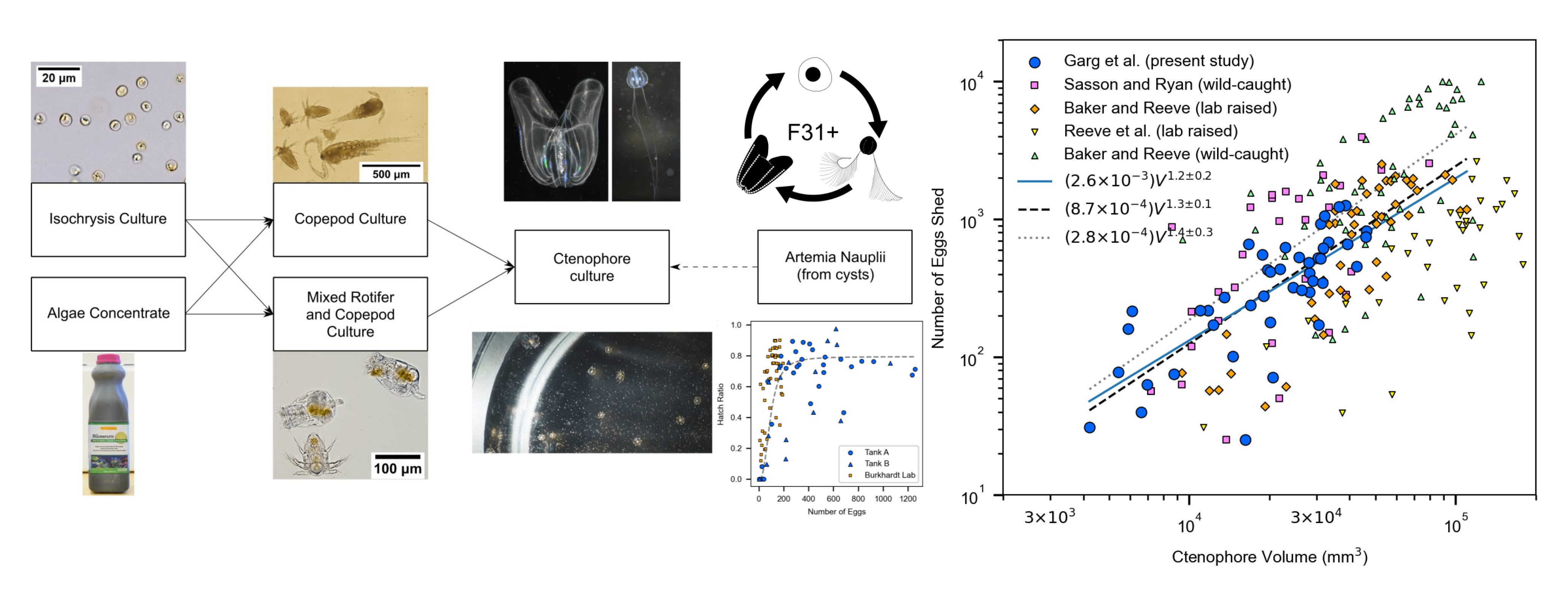 Blog Plotkinlab - Premium Colorful Wallpaper Gallery - High Resolution