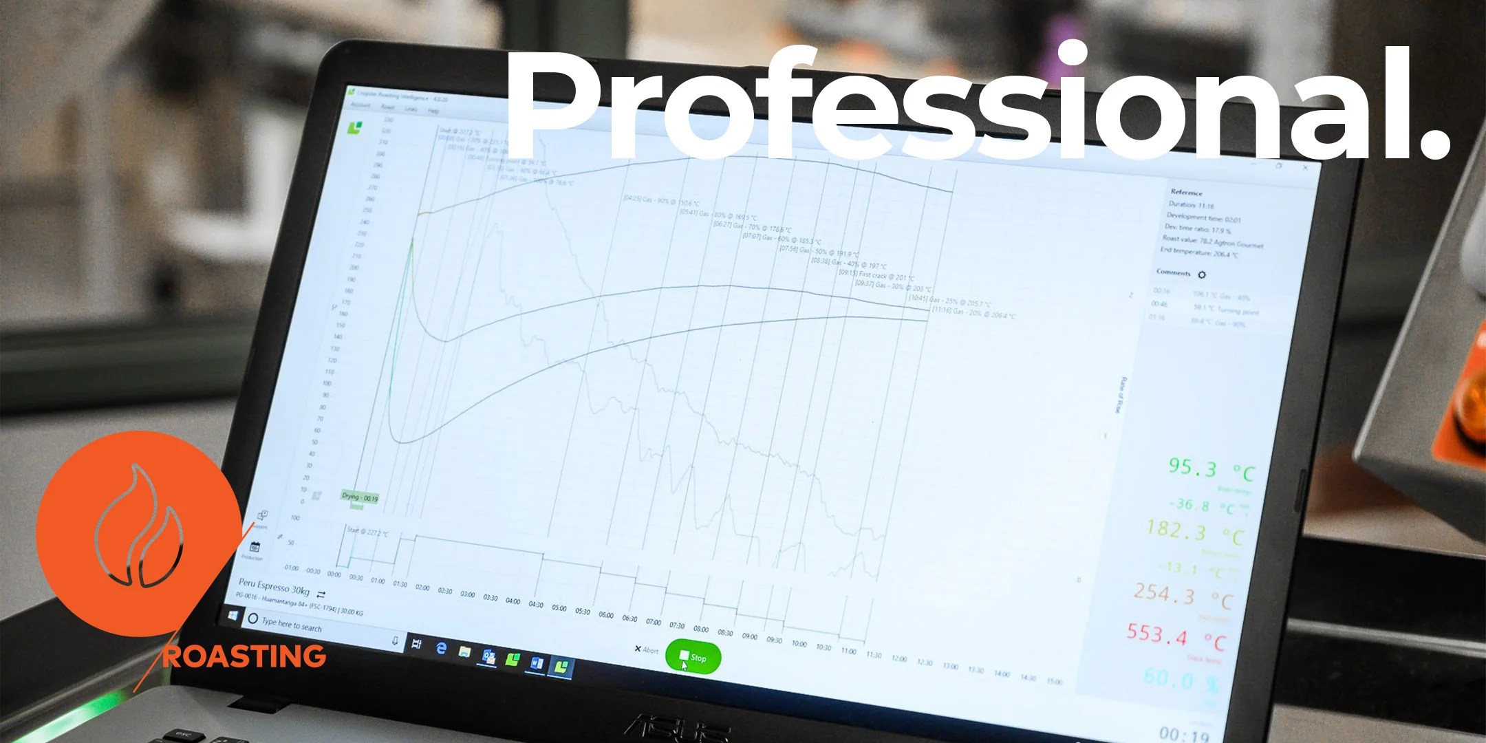 Sca Roasting Professional Plot Roasting - Retina City Illustrations for Desktop