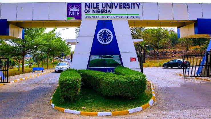How To Apply For Nile University Scholarship 2024 For Nigerian Students