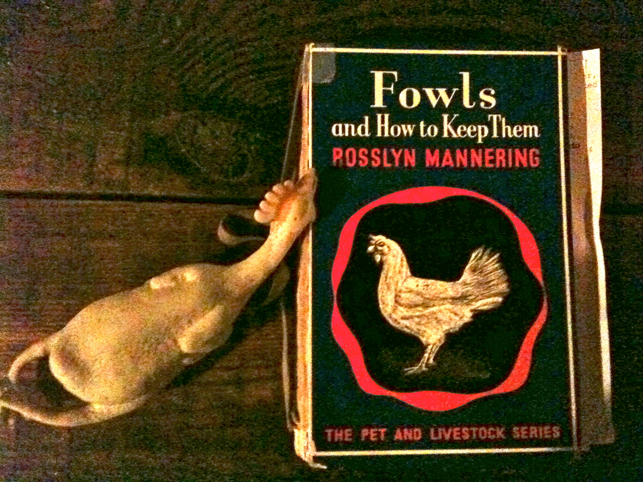 I think all humans should read this book