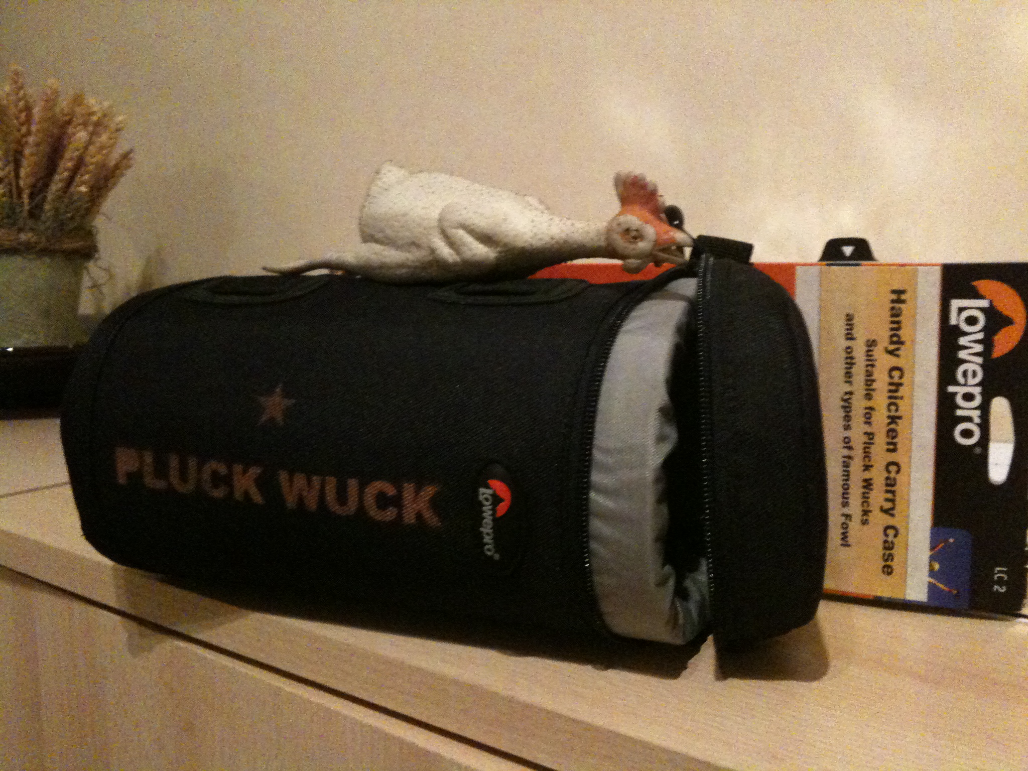 My new carry case. You should see inside