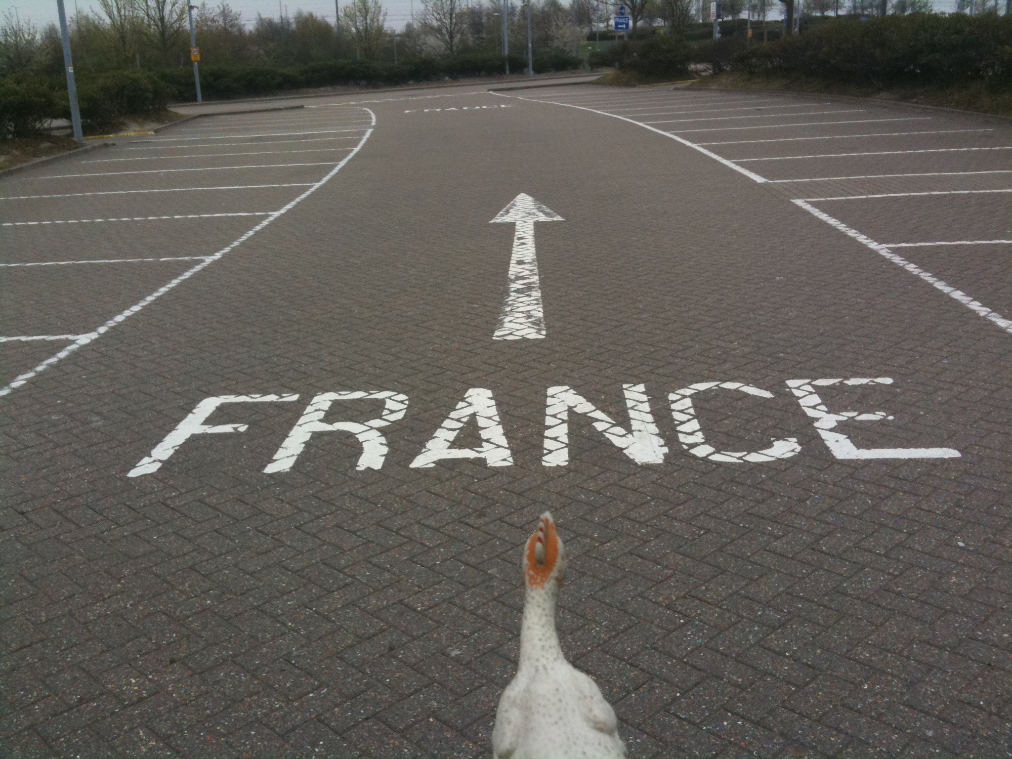 Can’t remember where I was going