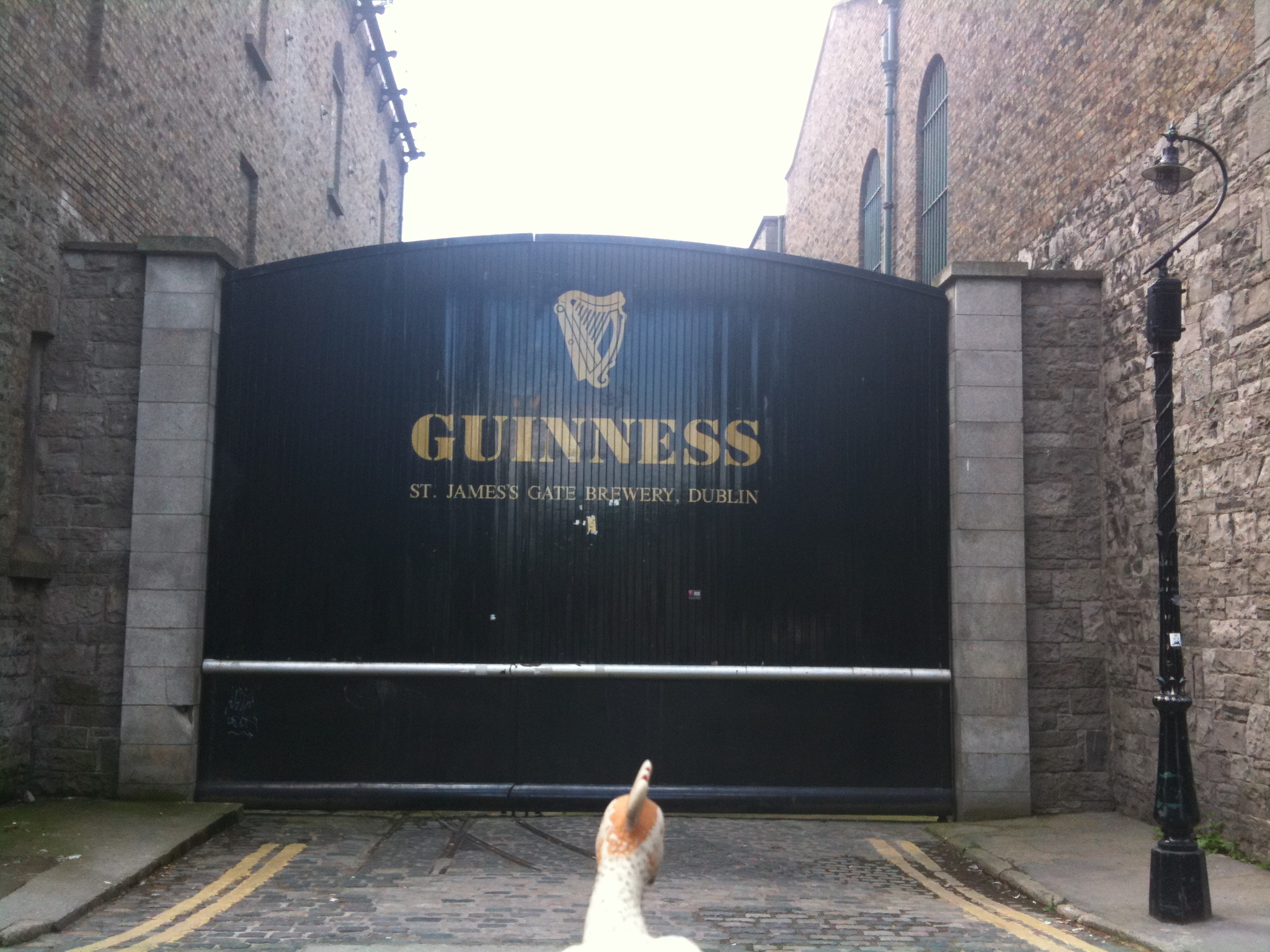 Guinness Factory, Dublin