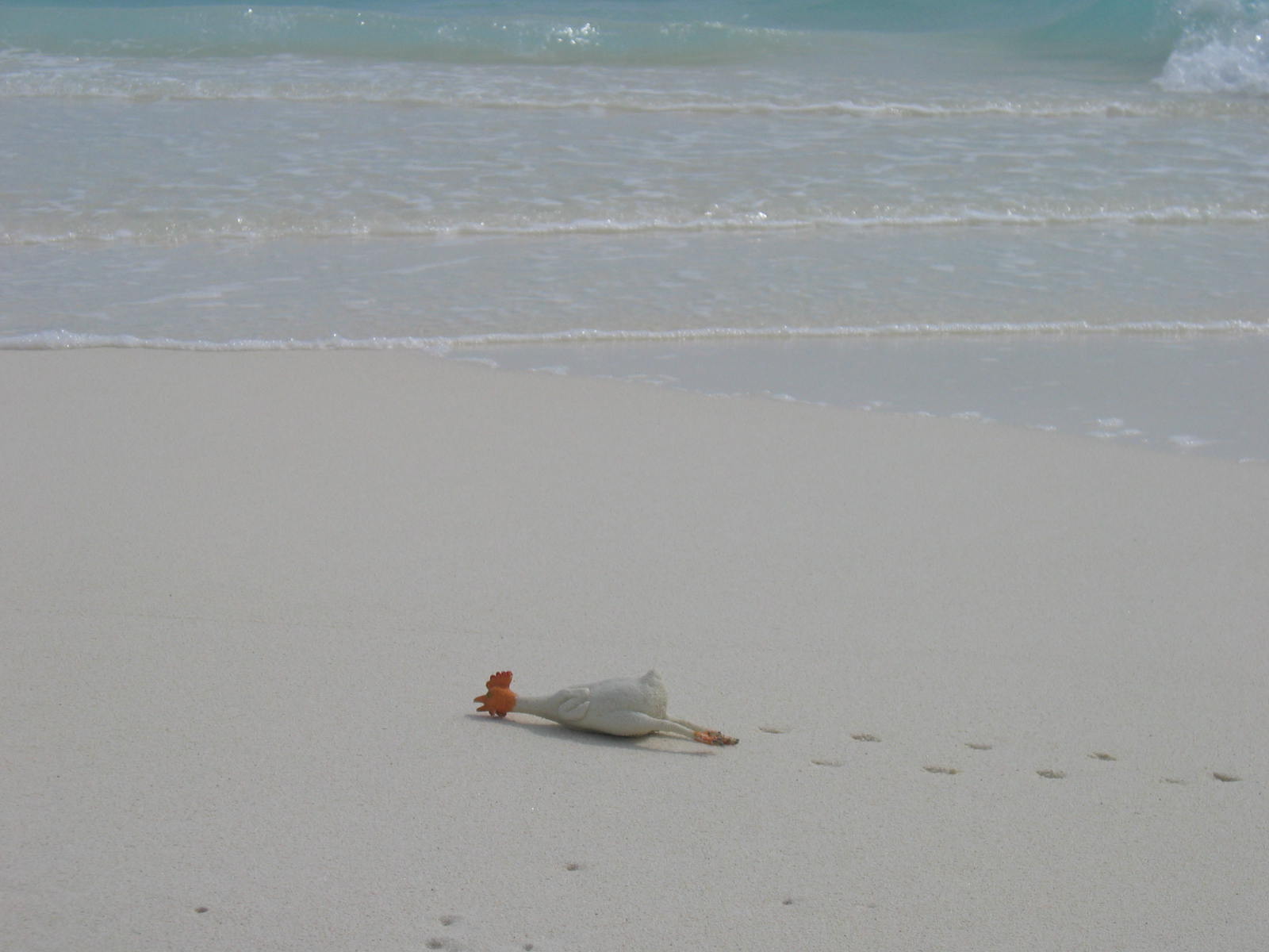 Sunbathing in the Maldives