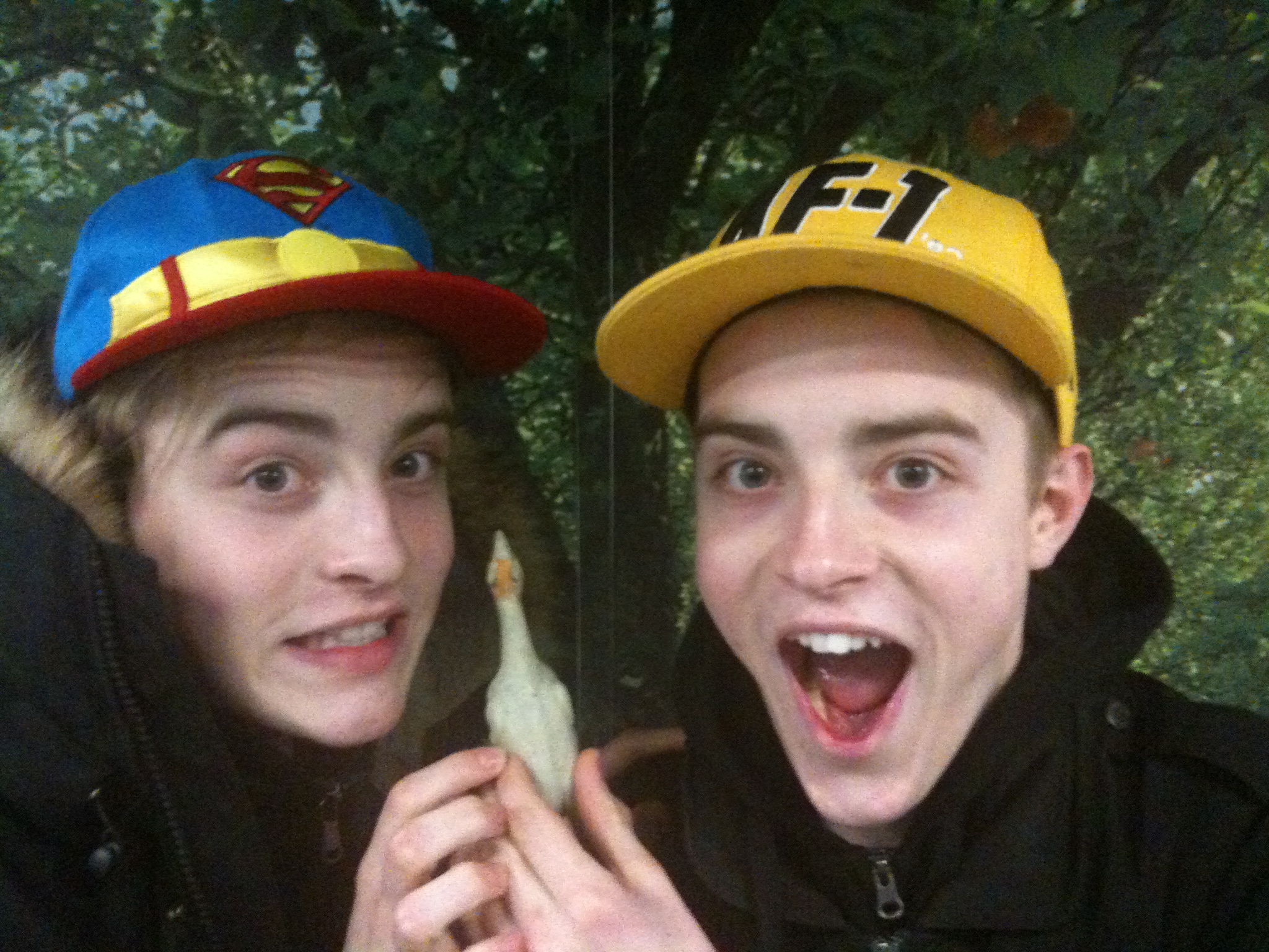 Jedward
