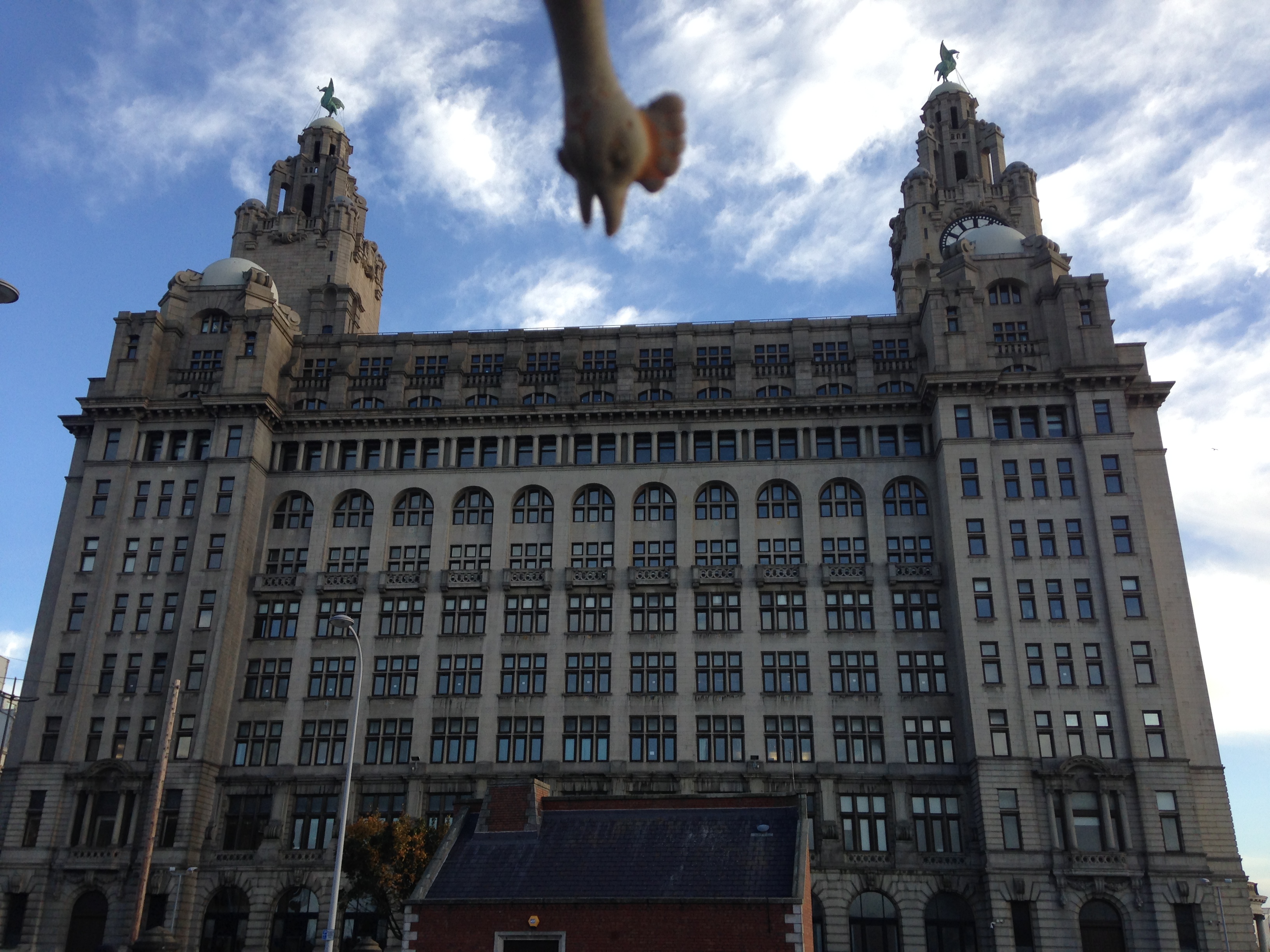 The Liver Bird