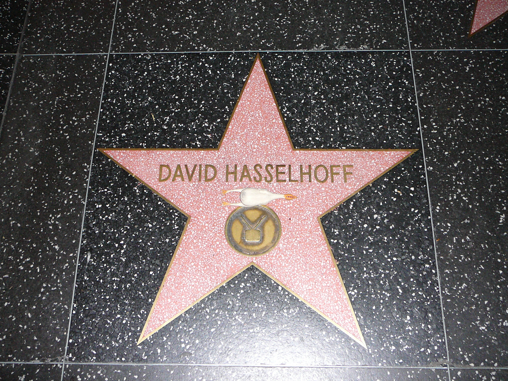 The Hoff's Star
