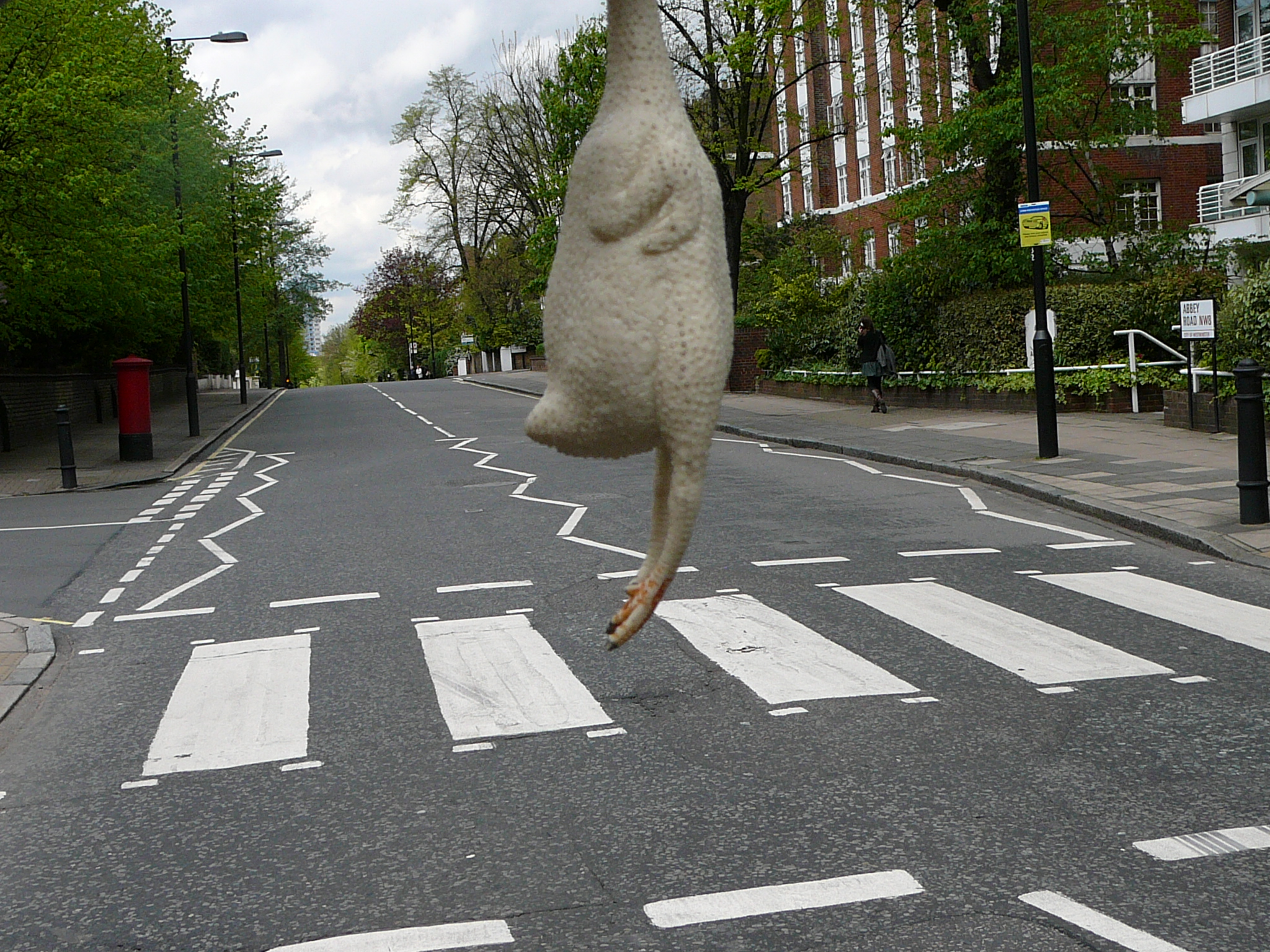 Why did the Chicken cross Abbey Road?