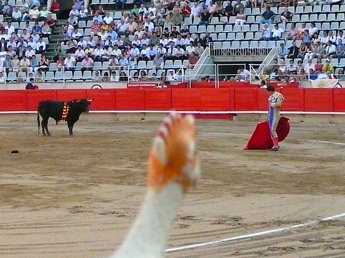 Cock & Bull & Barbaric Man