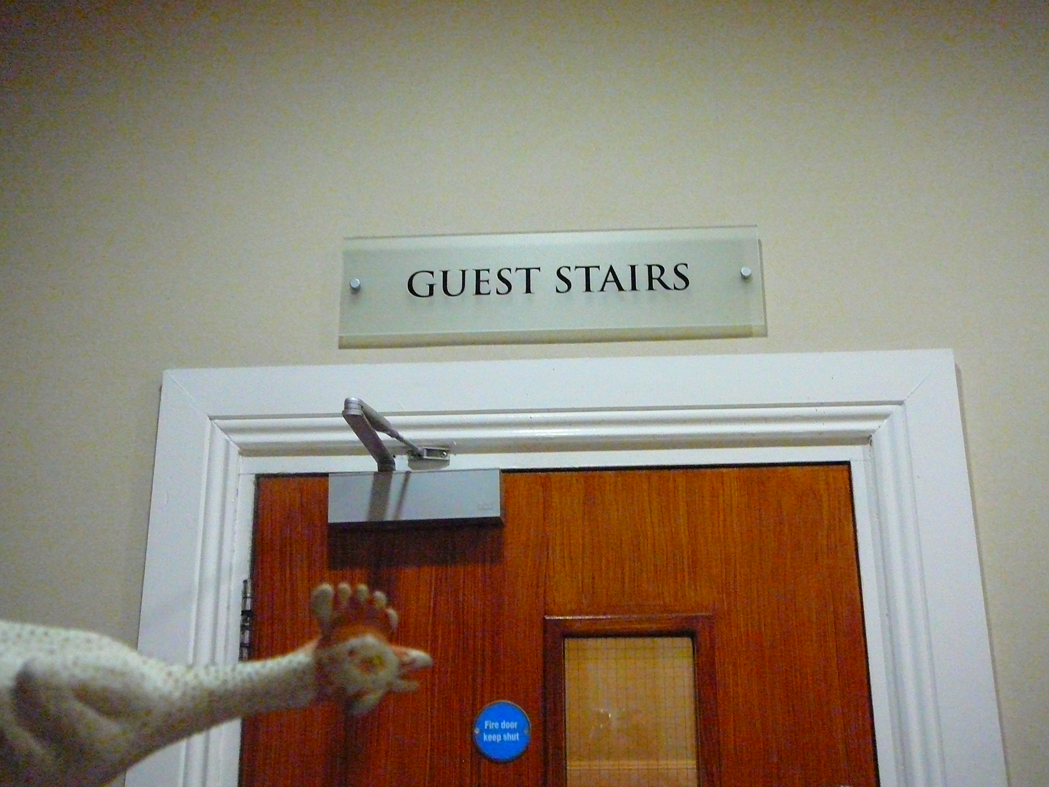 And this week’s guest stairs are...