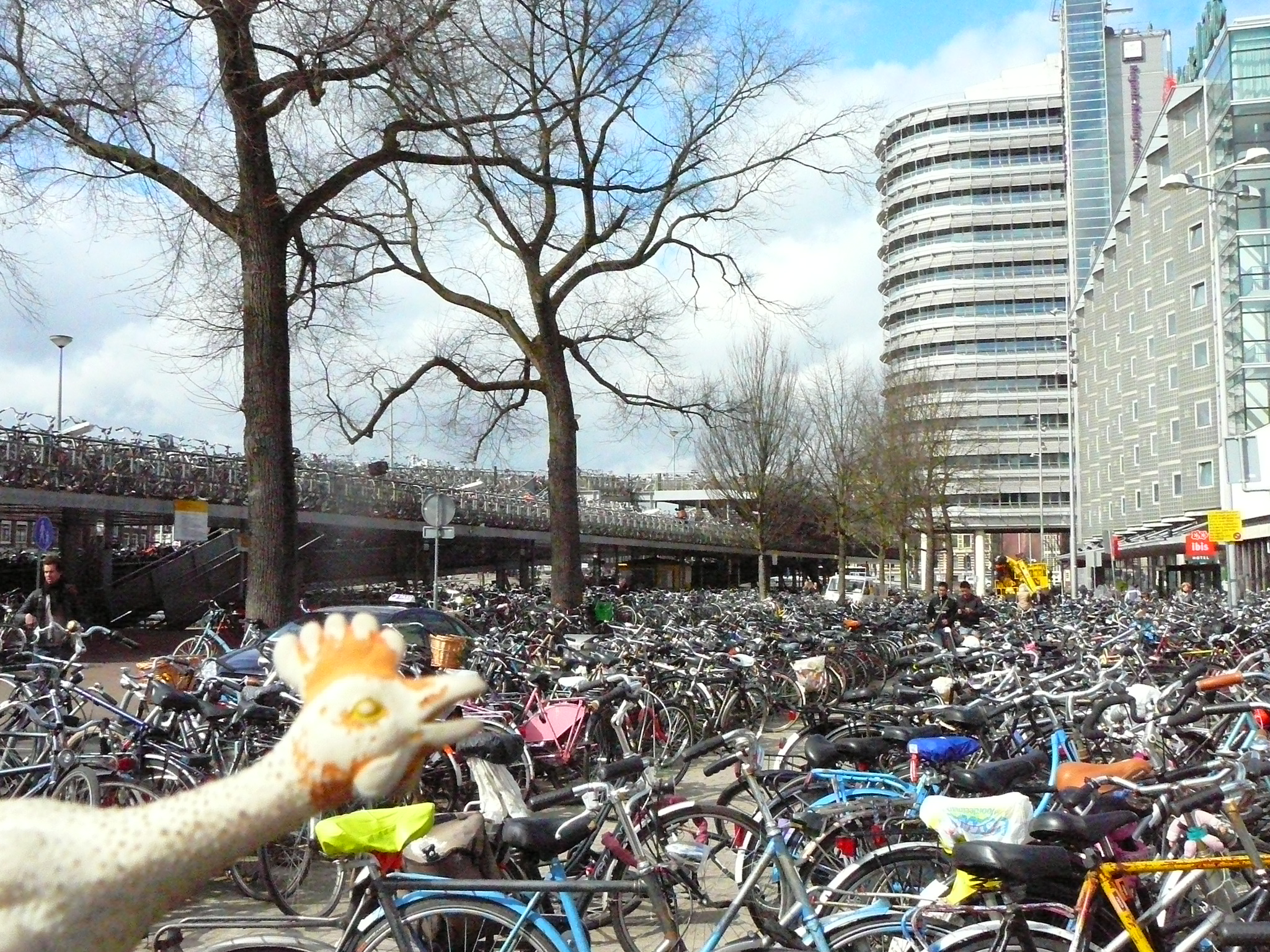 There are more bicycles in Amsterdam than in Beijing. FACT
