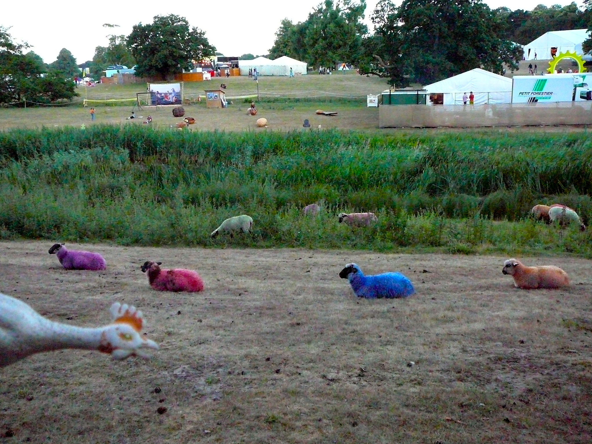 I took Eggstacy at Latitude and look what I saw