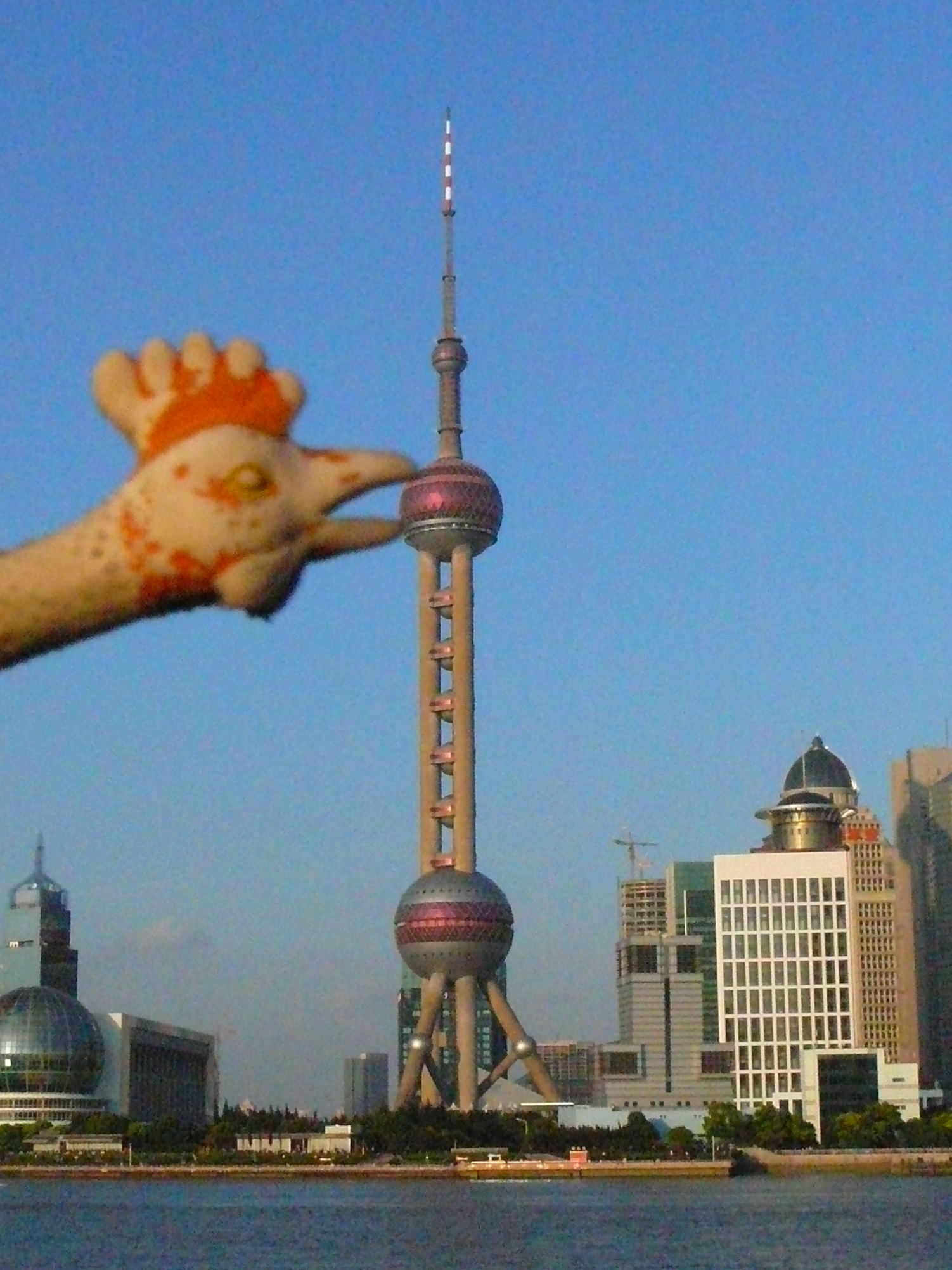 The Oriental Pearl Tower Shanghai 东方明珠塔