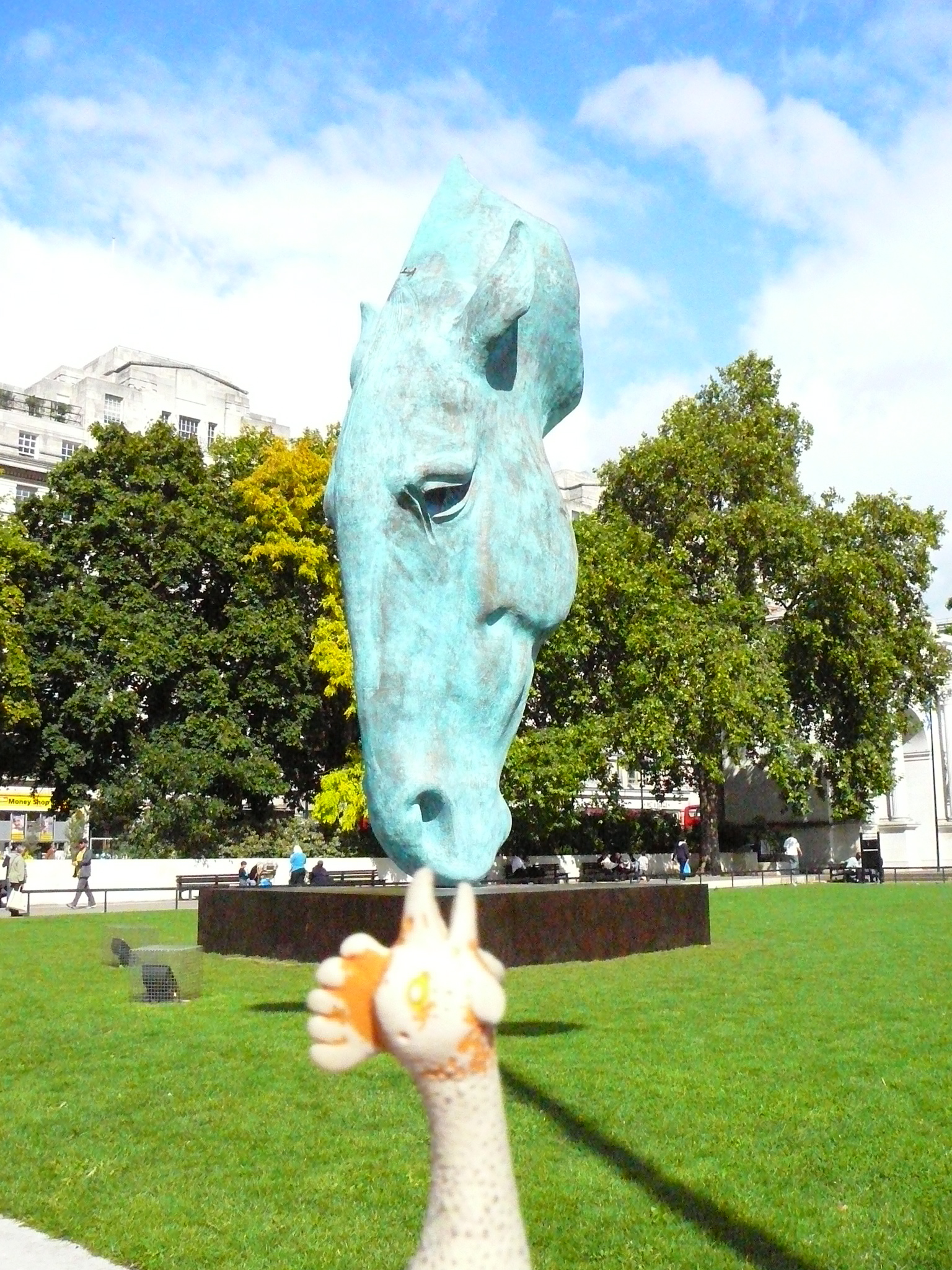 I’ve seen your horse at Marble Arch now Pluck is on a victory march