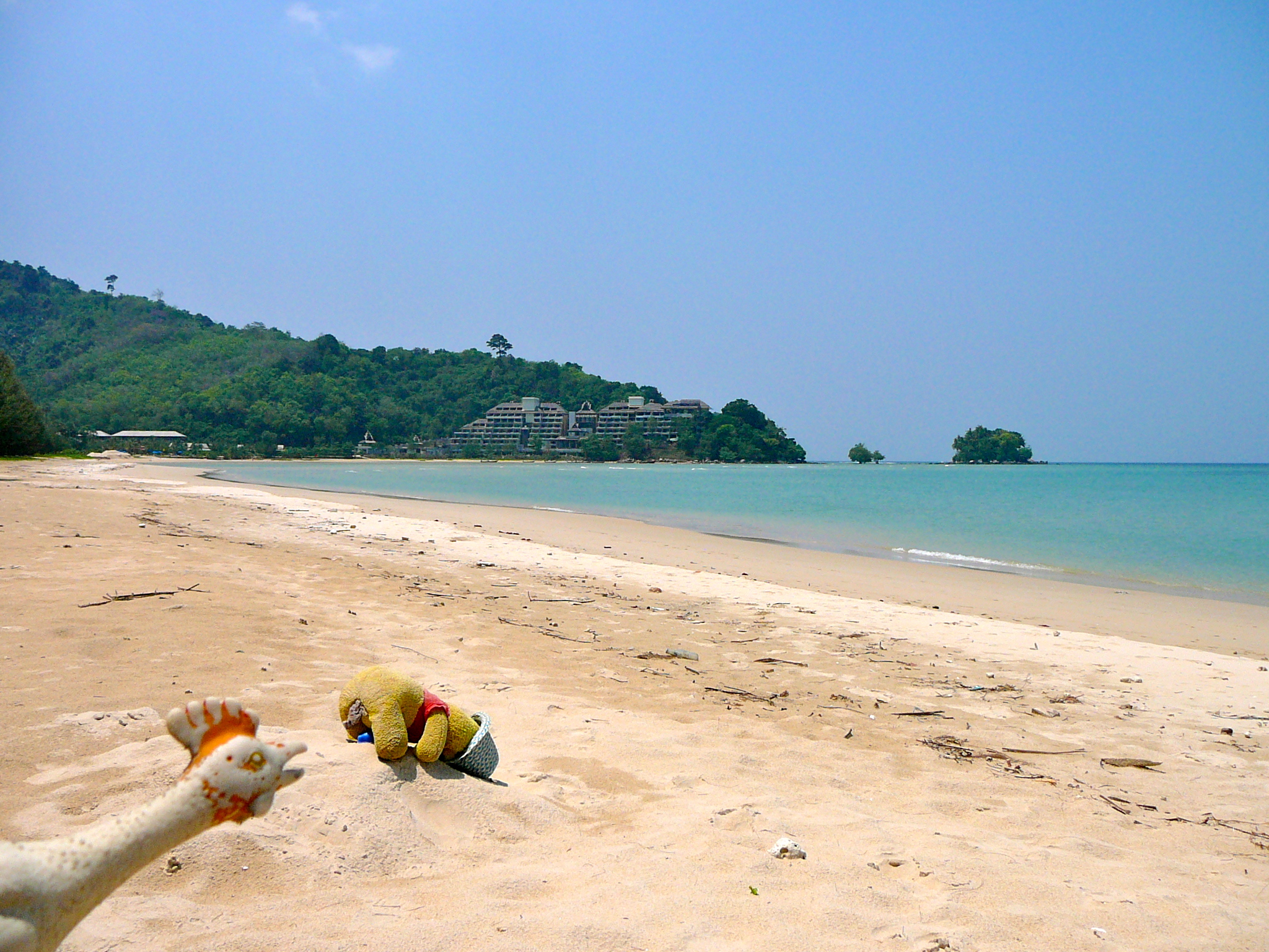 Pooh Bear really let himself go in Pluket