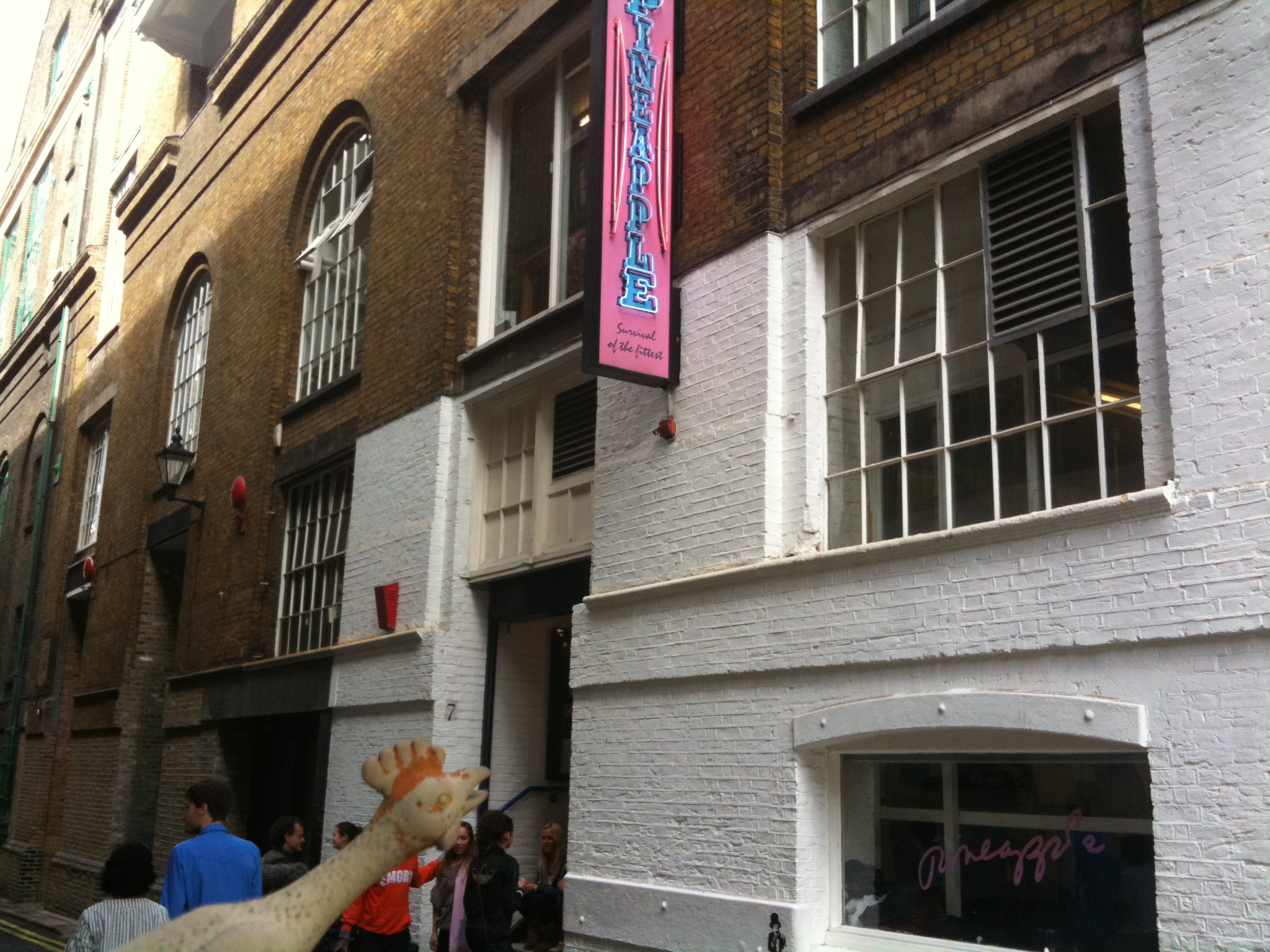 Chicken and Pineapple