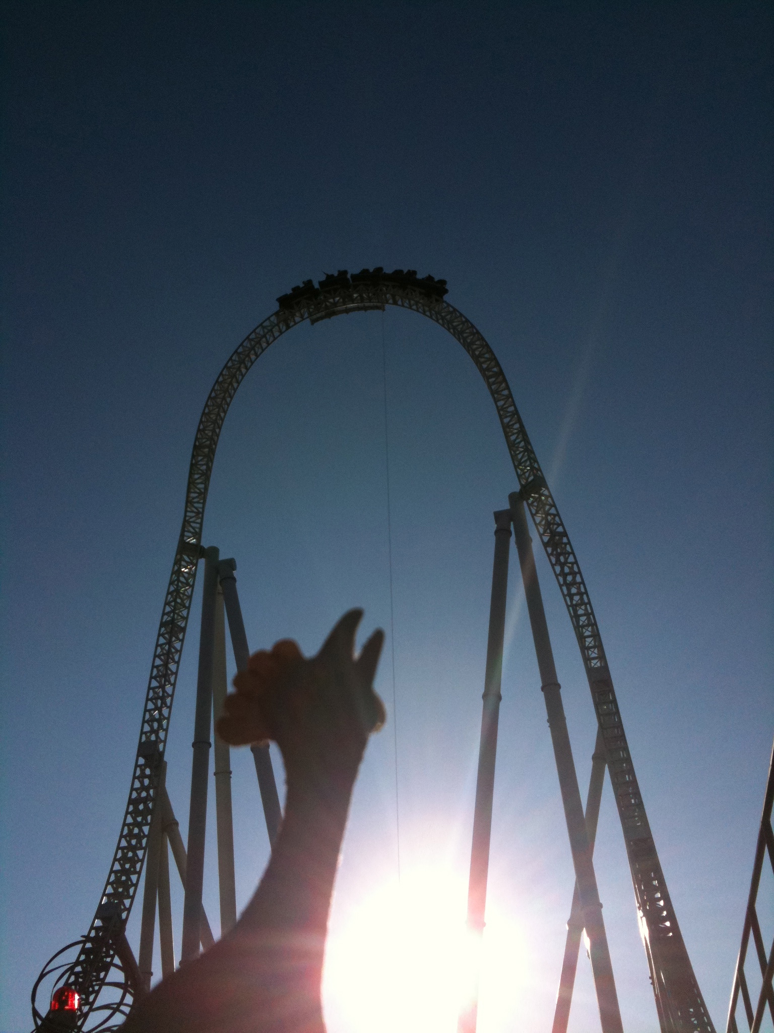 When it comes to rollercoasters I'm no chicken