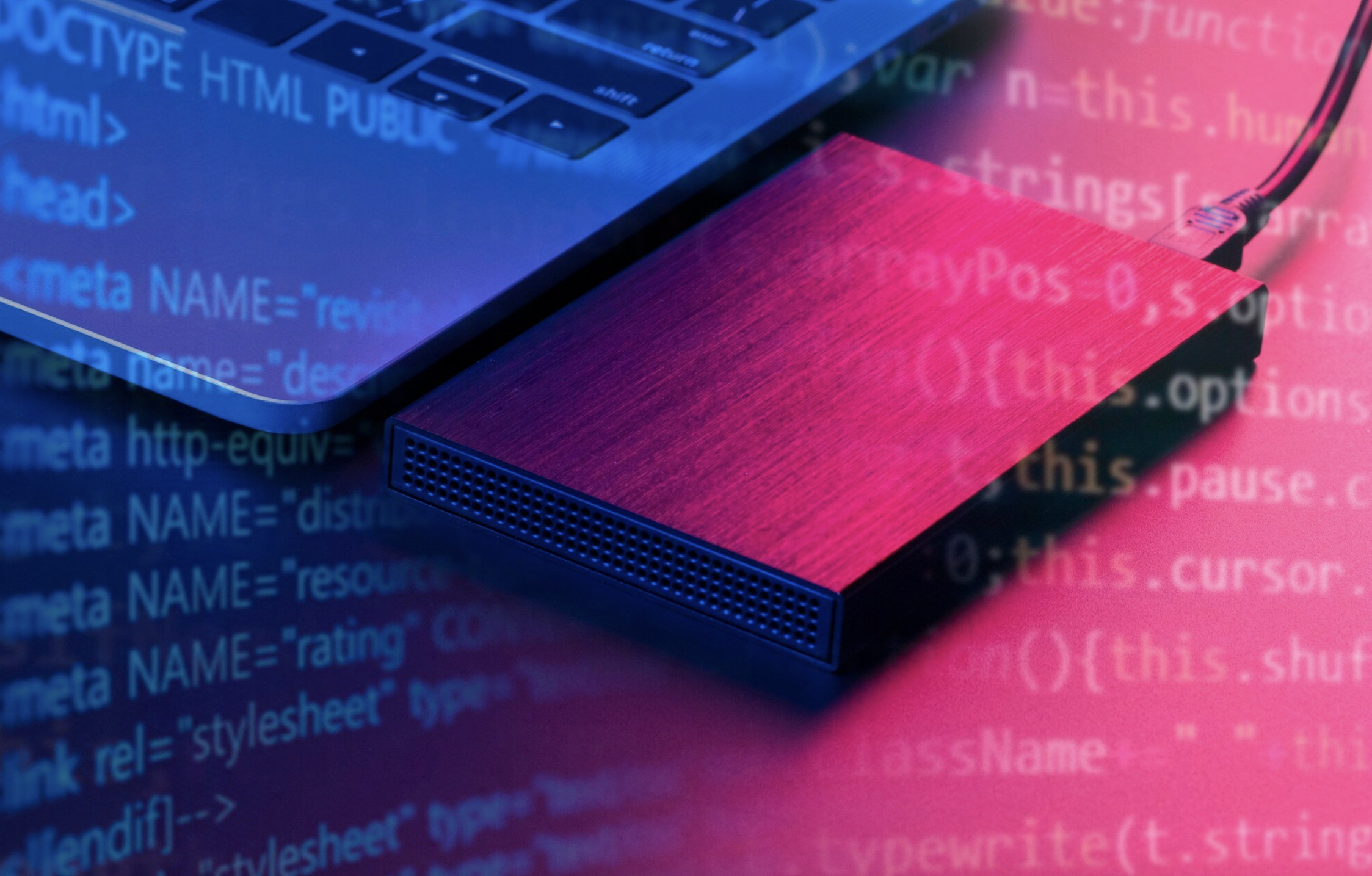 WordPress Multisite Backup