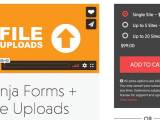 Ninja Forms File Uploads Pluginsforwp