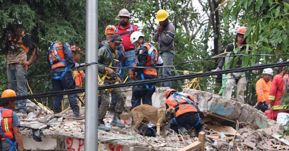 multifamiliar tlalpan, labores rescate, sismo, búsqueda, edificio derrumbado