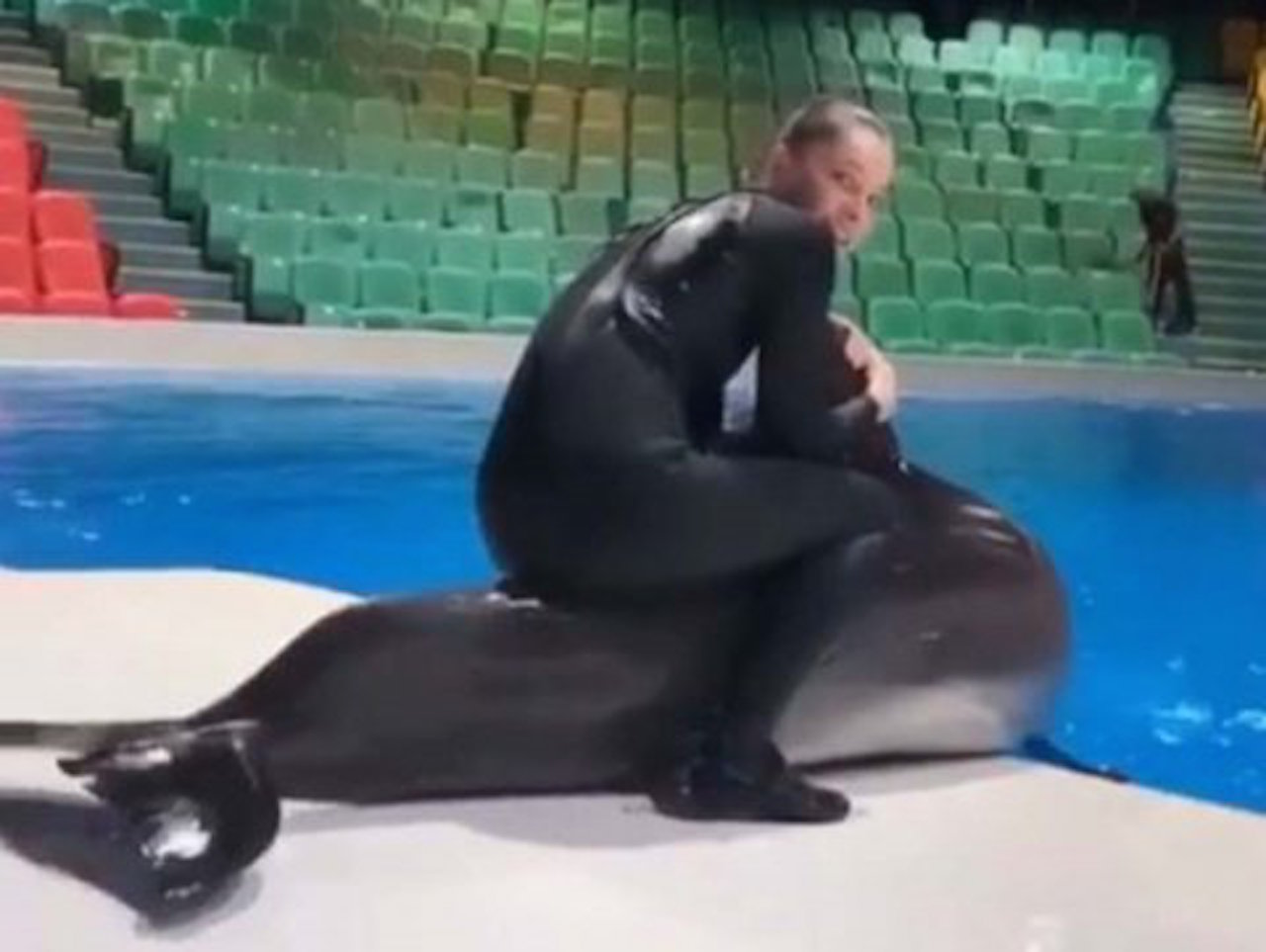 Video de una entrenadora que maltrata un delfin