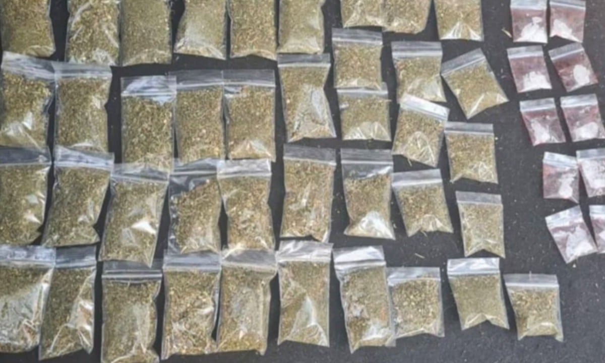 Capturan a joven de 21 años que vendía droga por redes sociales en la Colonia Roma