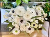 Wedding Flower Preservation Plumeria Botanical Boutique