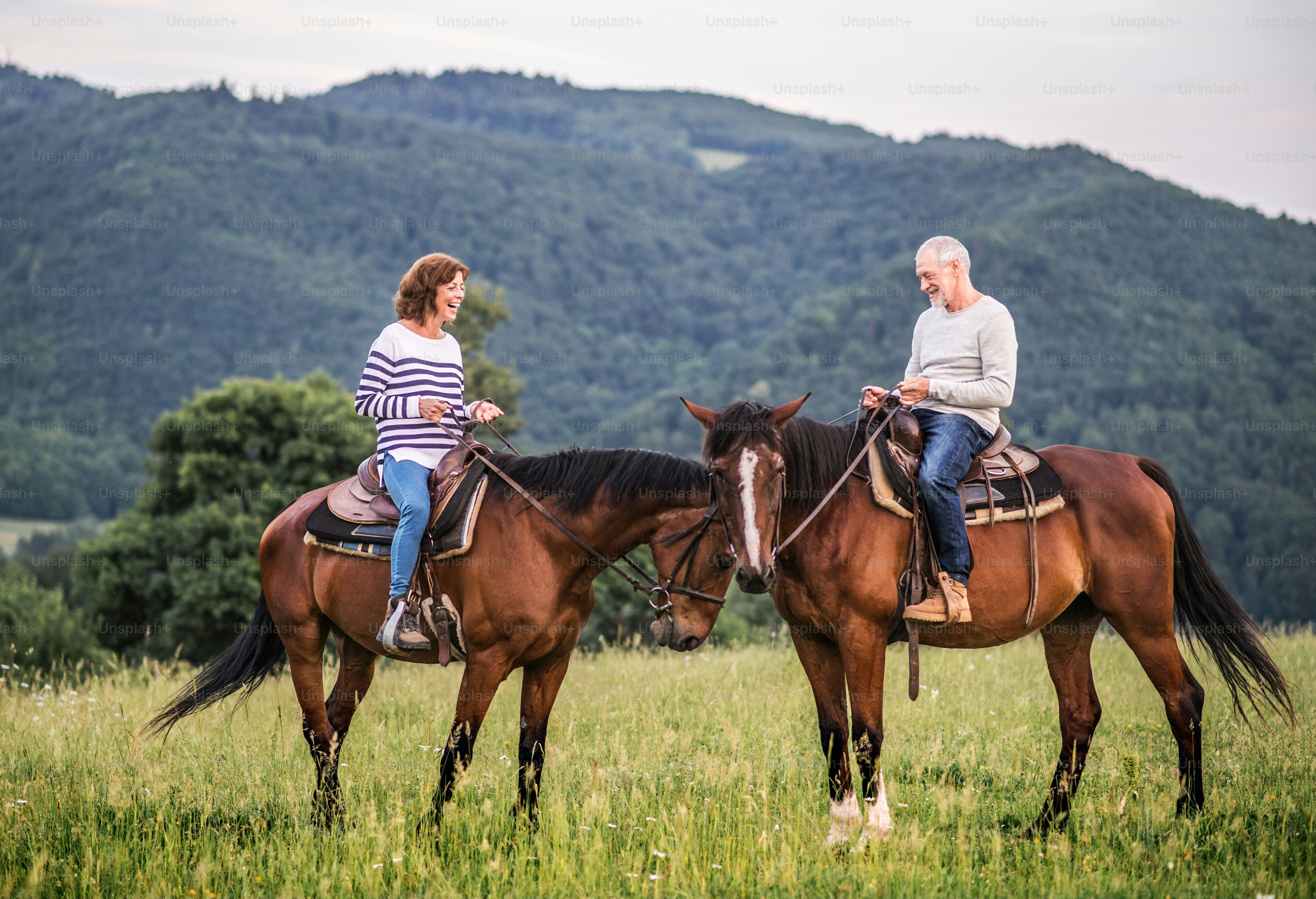 5 Romantic Horseback Rides in Rural Italy