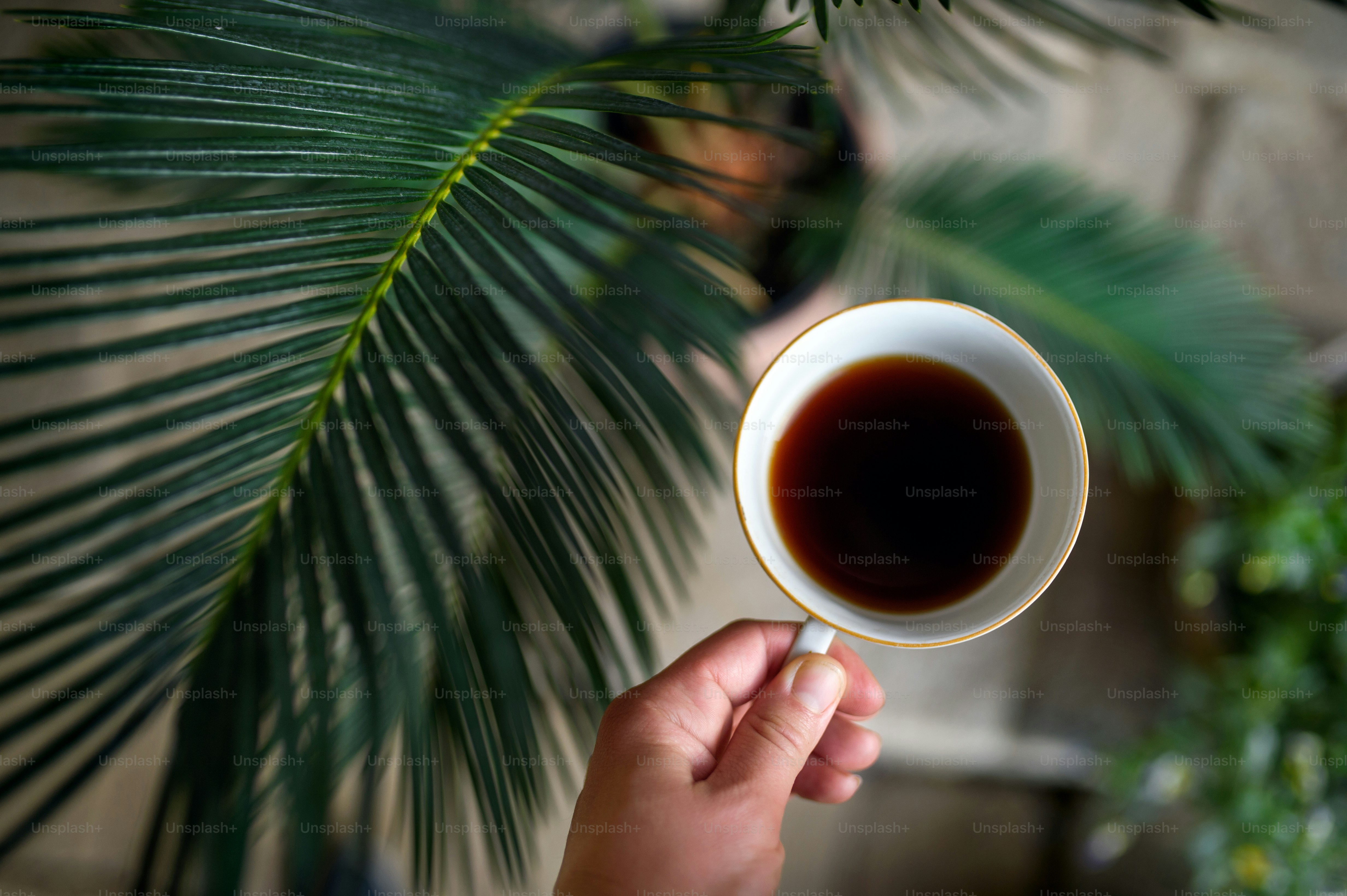 Facts of Consuming black coffee calories
